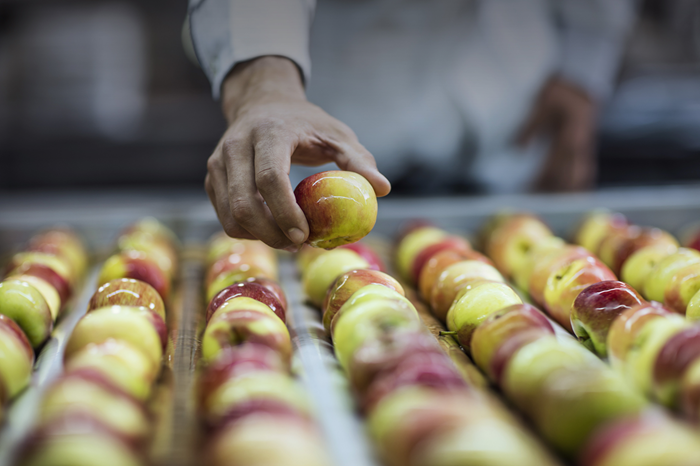 några äpplen i en fabrik